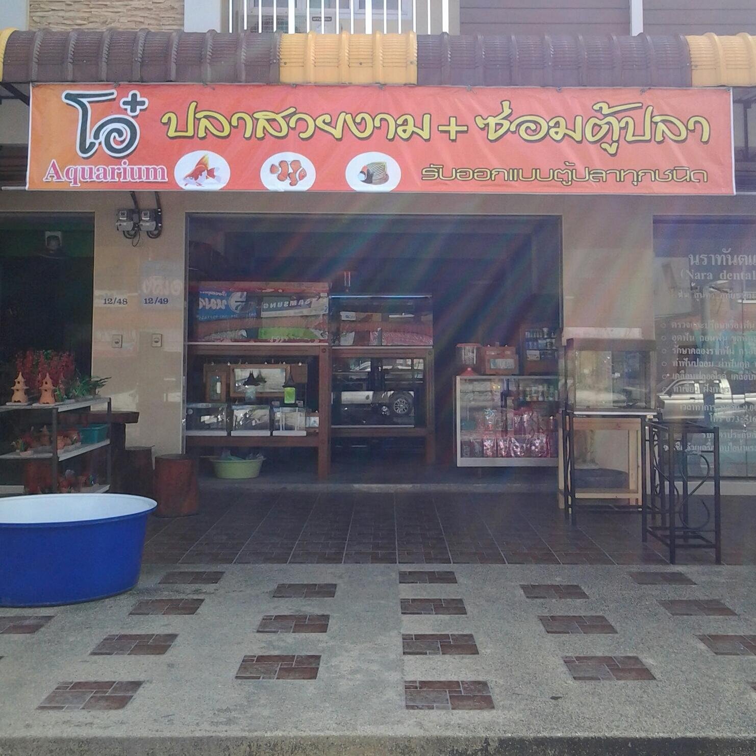 AquariumO's profile picture. จำหน่ายปลาสวยงามน้ำจืด-ทะเล ตู้ปลา อุปกรณ์ ยารักษาโรค,พรรณไม้น้ำ,ปะการัง รับปรึกษา แนะนำ ดูแล การเลี้ยงปลาอย่างถูกวิธีด้วยประสบการณ์ 20 ปี