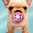 mike mata - @e5fbe092ffef426 - Twitter