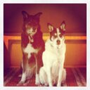 Beth Grady - @GradyBeth - Twitter