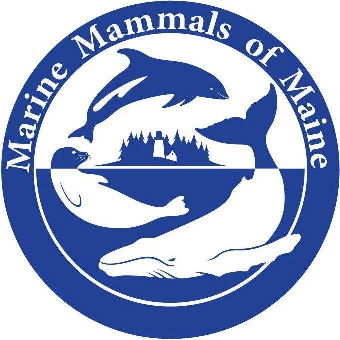 Marine Mammals of Maine provides response and assistance to stranded marine animals in the southern and mid-coast areas of Maine.