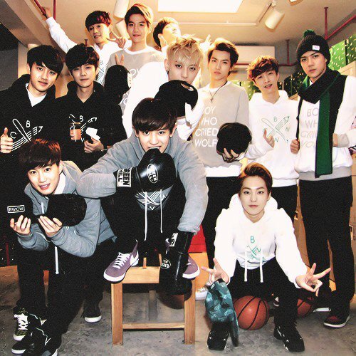 EXO is my inspiration!EXO is my love they are all my bias!And Im the one in their millions of fans.. Im the one of thier DIE HARD FAN✌❤My 12 handsome prince's