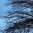srt_ltz1's profile image