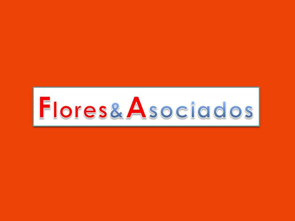 Abogados litigantes, consultores en estrategia de negocios, globalización, precios de transferencia, defensa fiscal.
