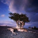 Patrick Fenn - @patrickcfenn - Twitter