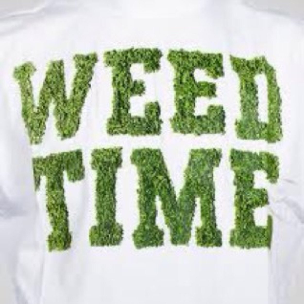 ChrisChrisclar's profile picture. 