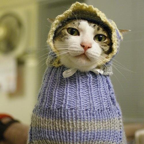 CherylAMighell's profile picture. Single mom of two young adults. I live to read books! 
Music=Life