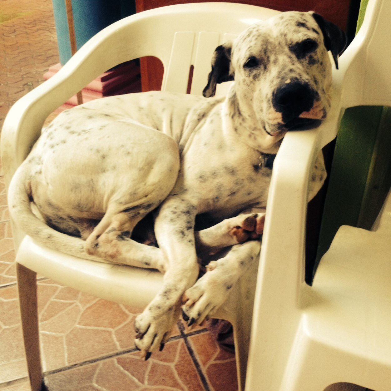 GastosMexico's profile picture. 