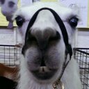 Andrew Main - @andrewmain79 - Twitter