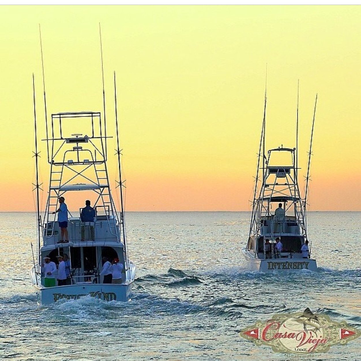 mclovindabomb's profile picture. They call me Mc Lovin’