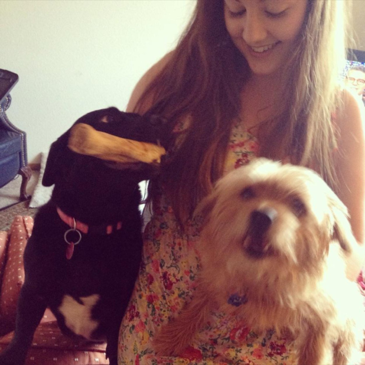 NicoleeeLaw's profile picture. Jayhawker. Firebrand. Beer lover.