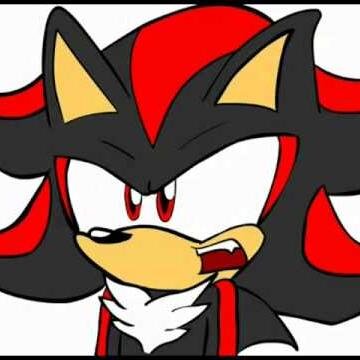 I'm Shadow, Shadow the Hedgehog. I was created for-- SWISS ROLL!! [Parody]