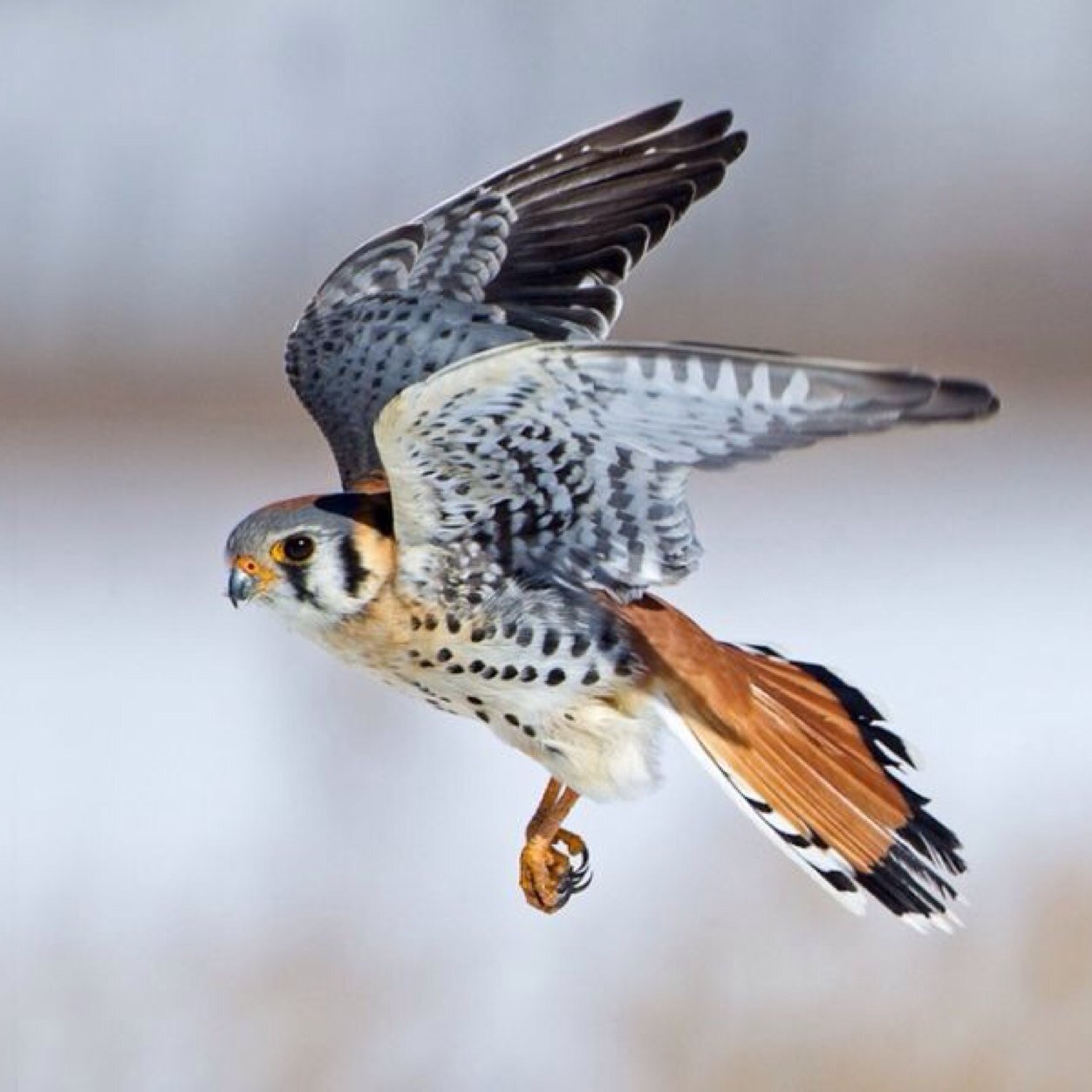 runaway_stories's profile picture. 