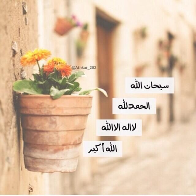 لاَ زمُان يعود ' وَ لاَ أحدْ يهتمْ ' 
 وَ لاَ بَشرْ تفهمْ فَ لمُاذَا نتألم /3#