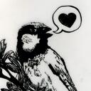 Kate Sessions - @TheKateSessions - Twitter