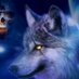 Tyren (@tyrenwolf) Twitter profile photo