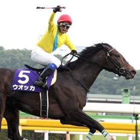 ekobaken777's profile picture. エコ馬券　少点数で稼ぐ管理人です。