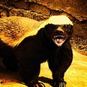 Robert Buckley - @Rob_Buck_ - Twitter