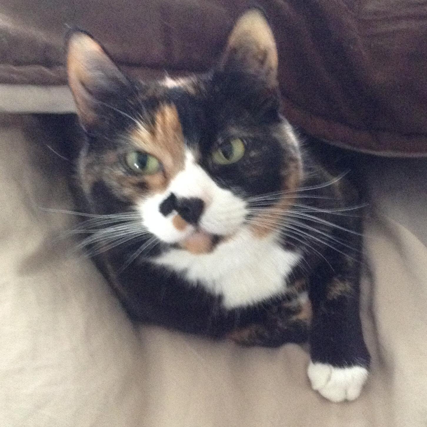 fmdemon's profile picture. mmmmcheck please