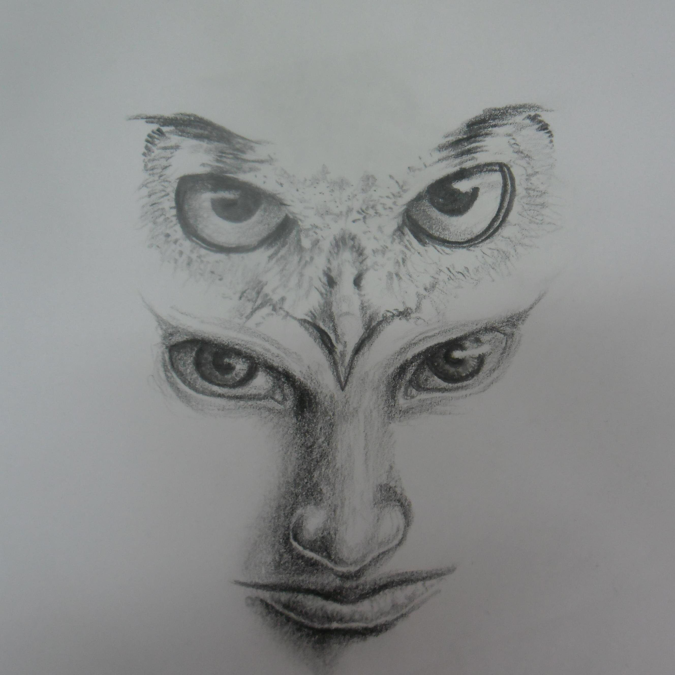 sabinamushailov's profile picture. 