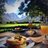 PicardiPlace's profile image