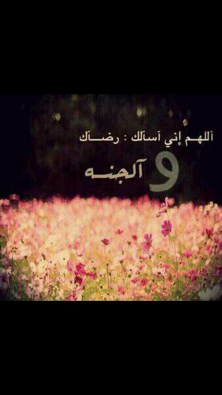 الباحهه