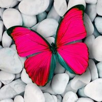 hazal büyük (@byk_hazal) 's Twitter Profile