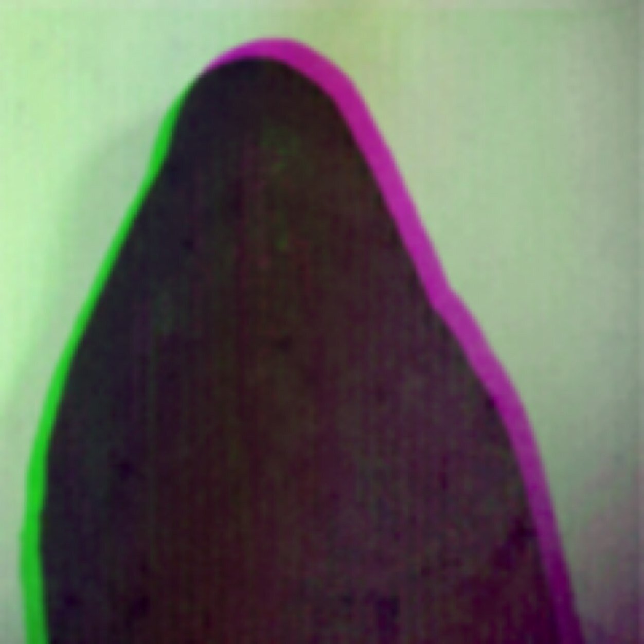 امشي وارتوت