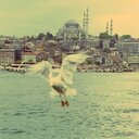 meryem hanne FV (@01Kardelena) Twitter
