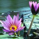 Morgan Gresham - @FghPaul - Twitter