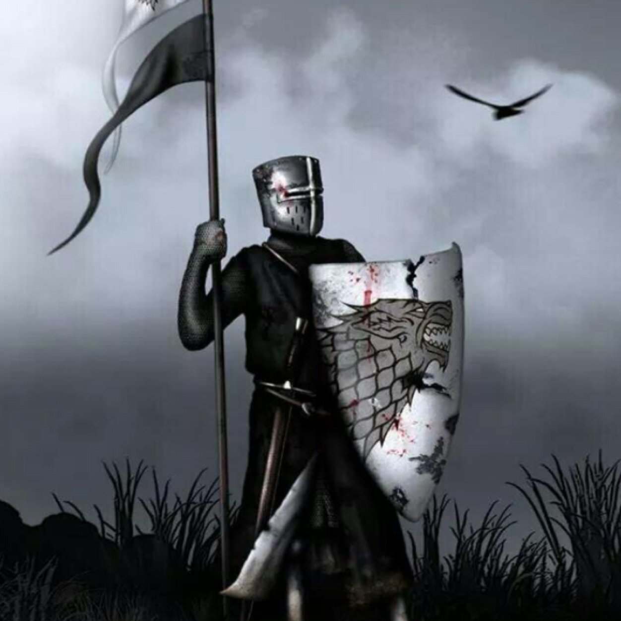 Born and raised by the Karstarks...Sworn to protect the starks.Married with @lady_winterfell (Not affilted with HBO or GOT)