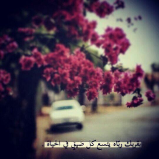 الحمدالله