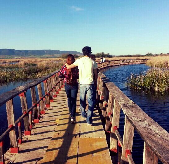 La vida es demasiado importante como para tomársela en serio. Escandalosamente imperfecta.