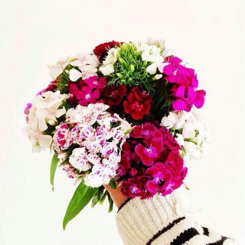 safwahhh98's profile picture. trying my best!