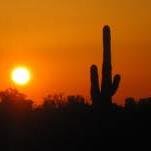 bingobango31's profile picture. 