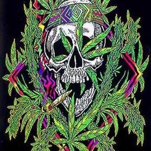 its a high lyfe