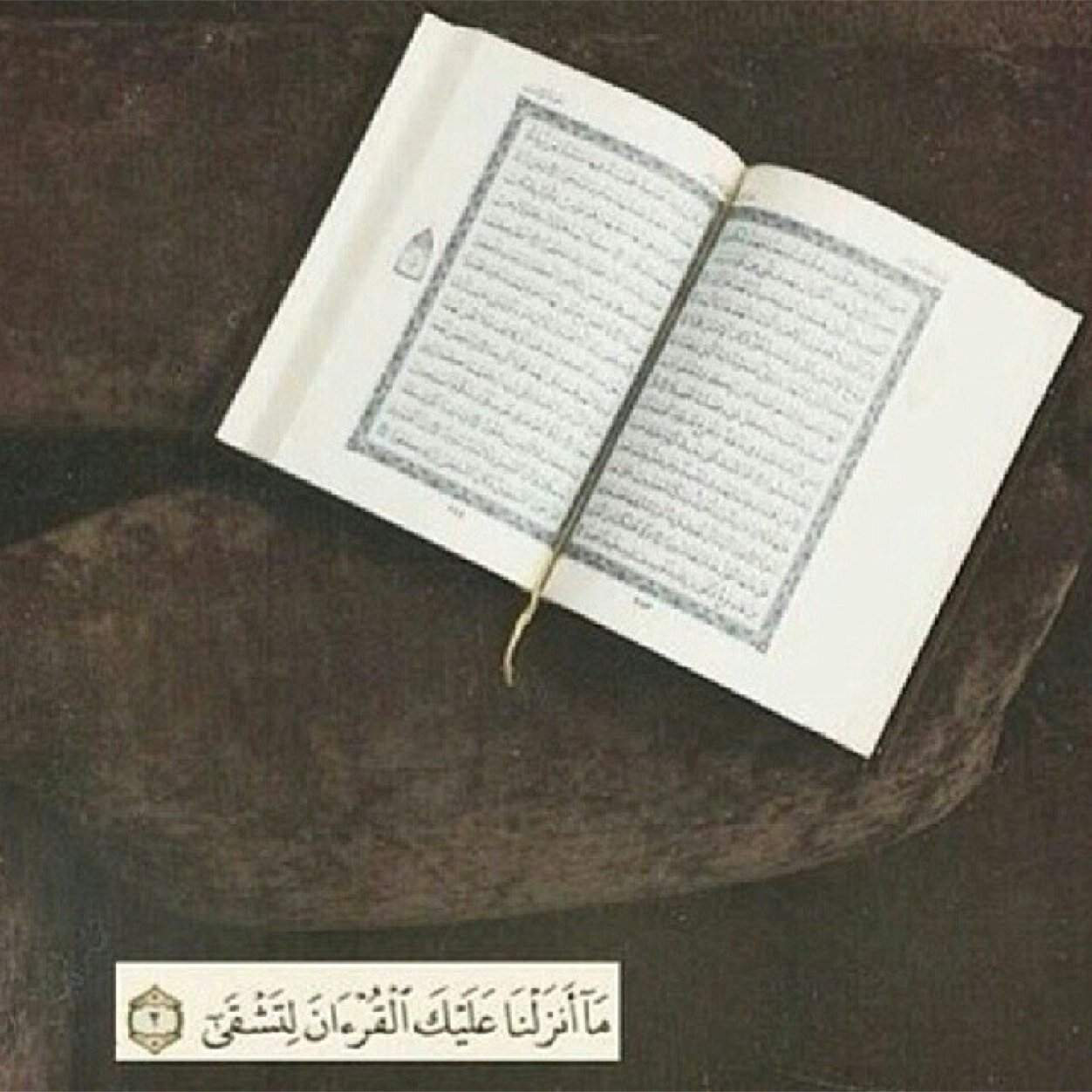 * آللهم إجعل القرآن العظيم 
نورٓ لصدورنآ .. وجلآء لـ آحزآننا*