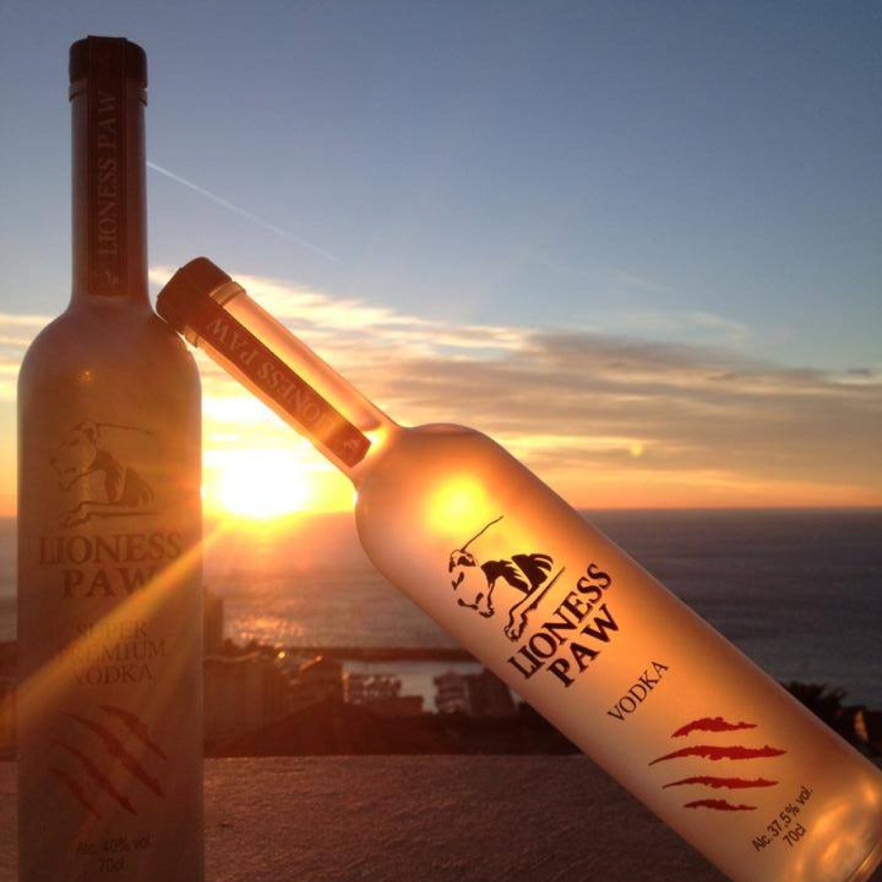 Lioness_Paw's profile picture. Lioness Paw is a Premium Vodka Brand