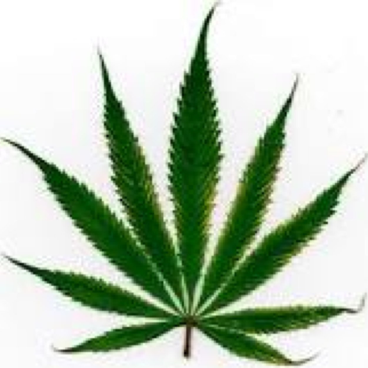 For all the smokers of the world!!!
Smoke till you choke then do it again!!!
Follow @allaboutthc420 on instagram!!!