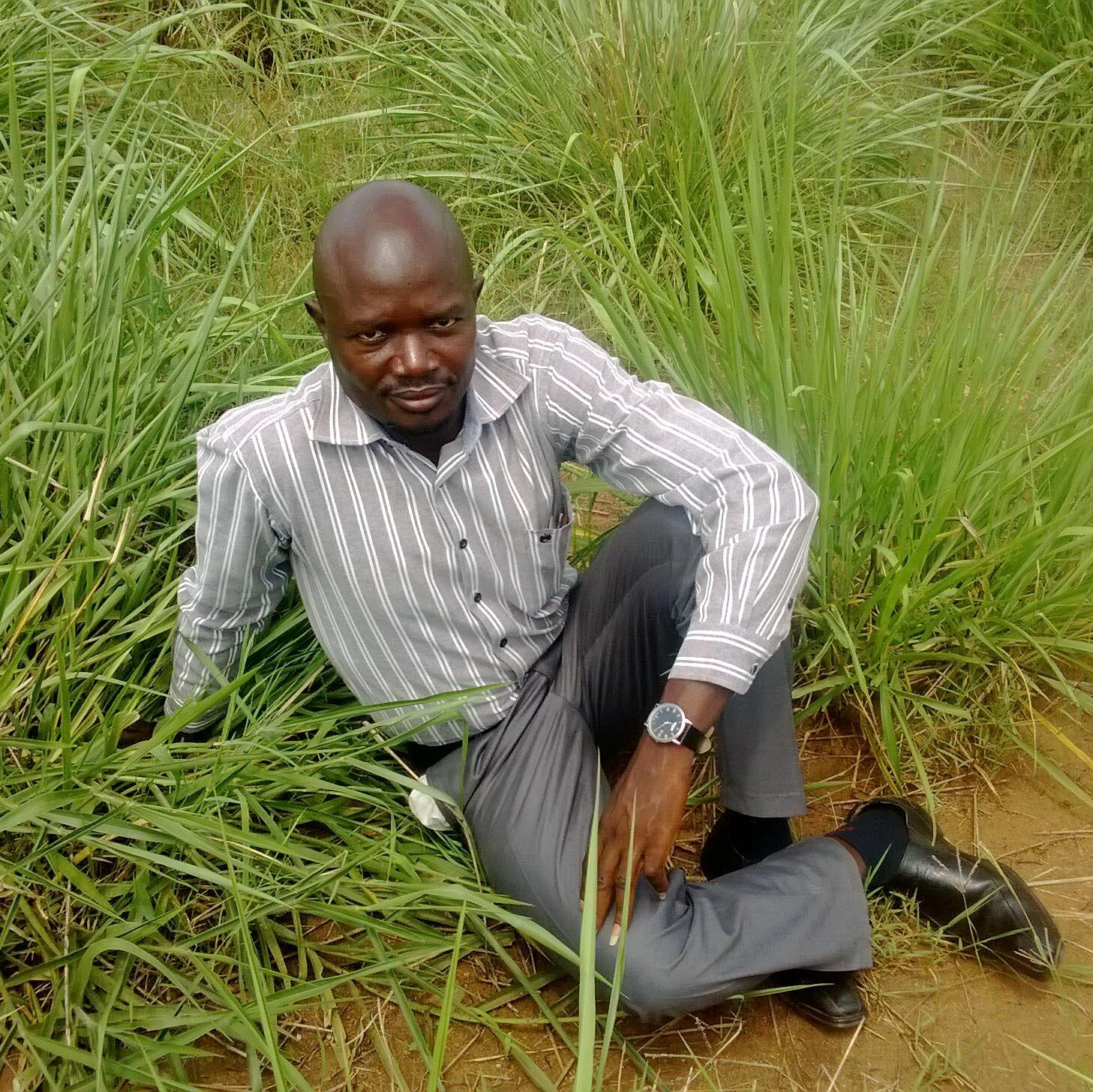 MARKODENG1's profile picture. 