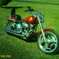 angela (@bikerdaughter) 's Twitter Profile