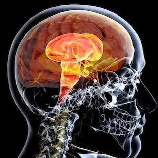 whiteflares's profile picture. 