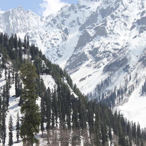 neetiraj's profile picture. 