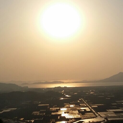 나무를 보지 말고 숲을 보라.