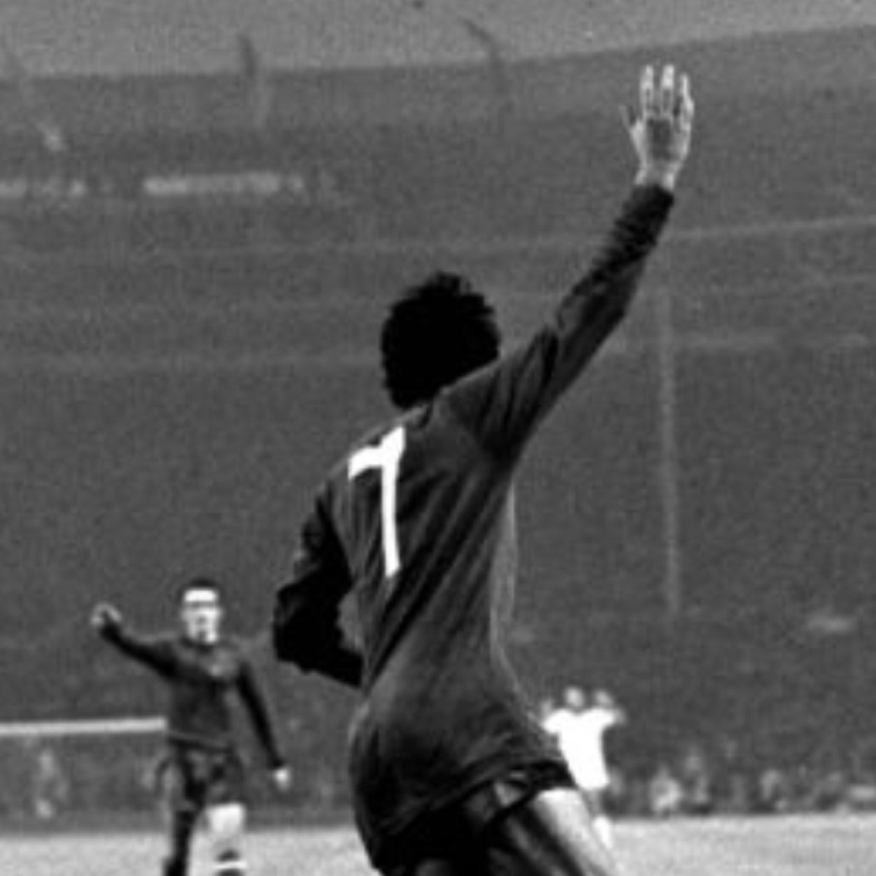 mcclarey77's profile picture. 