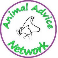 Animal Network (@animalnetwork1) 's Twitter Profile
