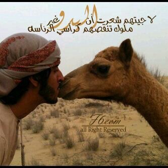 اشكر كل من تابع كلماتي بصمت.فلهم جزيل الشكر..دمتم في حفظ الرحمن..استودعكم الله الذي لاتضيع ودائعه.