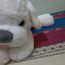 p sy_246 (@58aa52c8e6d9465) Twitter