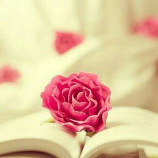 *ﻱ ـﺂﺭﺏ ﺃﺳﻌﺪ [ ﻗﻠﻮﺏ ﺁﺣﺒﺘﻲ ﺏ ﻛﻞ ﺧﻴﺮ ..’