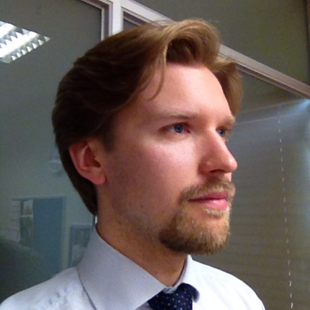 Andrejs Gavars Profile