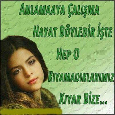 LaleMemedova's profile picture. 